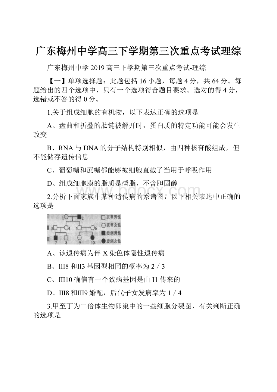 广东梅州中学高三下学期第三次重点考试理综.docx