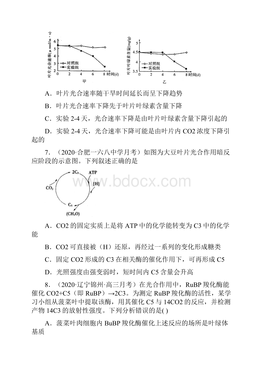 考点03 光合作用原卷版.docx_第3页