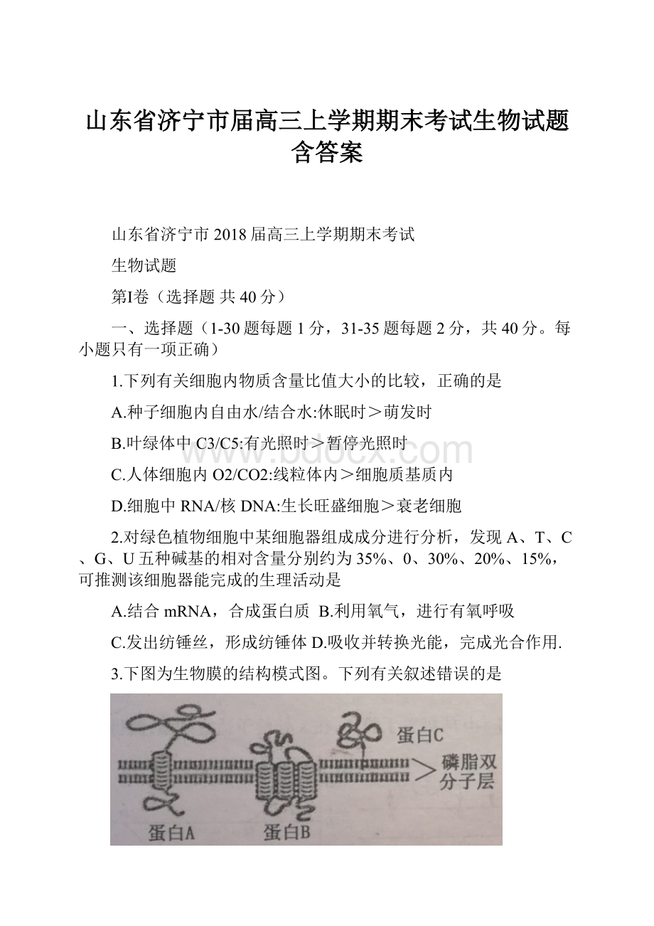 山东省济宁市届高三上学期期末考试生物试题含答案.docx