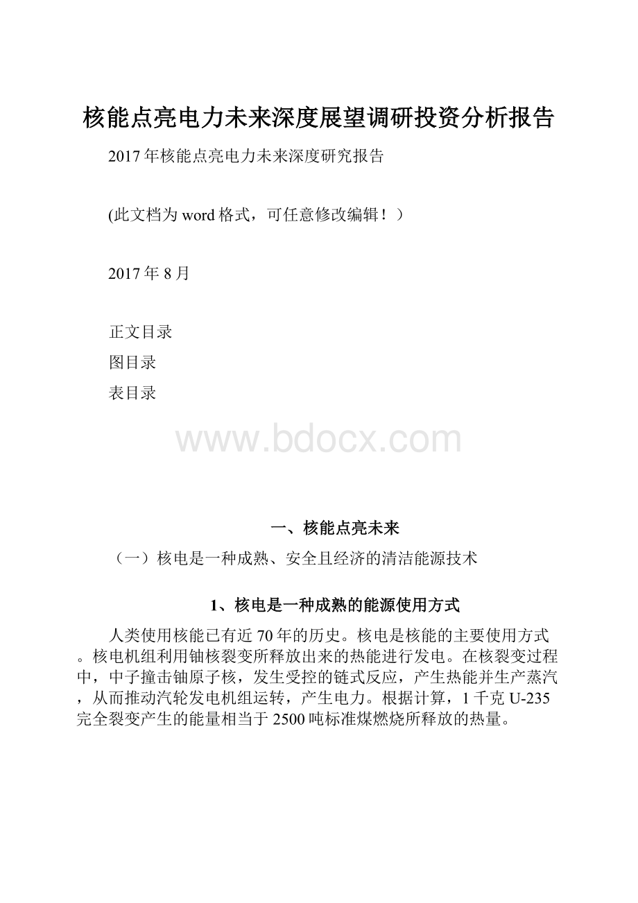 核能点亮电力未来深度展望调研投资分析报告.docx_第1页