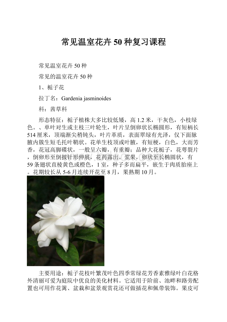 常见温室花卉50种复习课程.docx_第1页