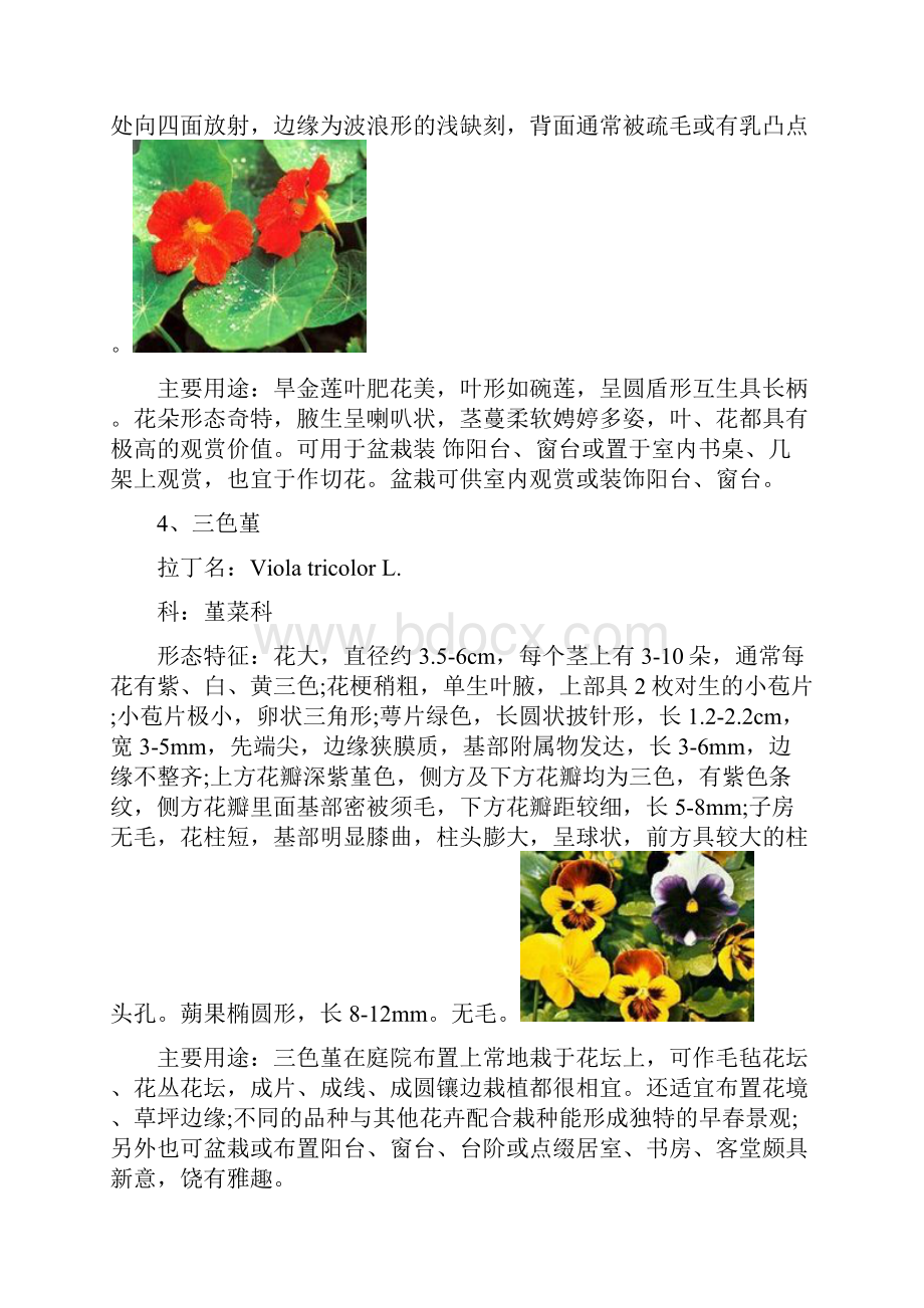 常见温室花卉50种复习课程.docx_第3页