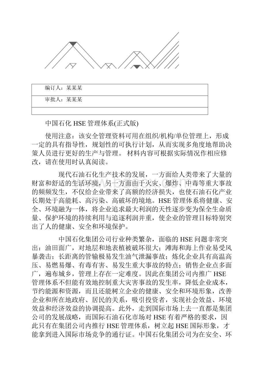 中国石化HSE管理体系正式版.docx_第2页