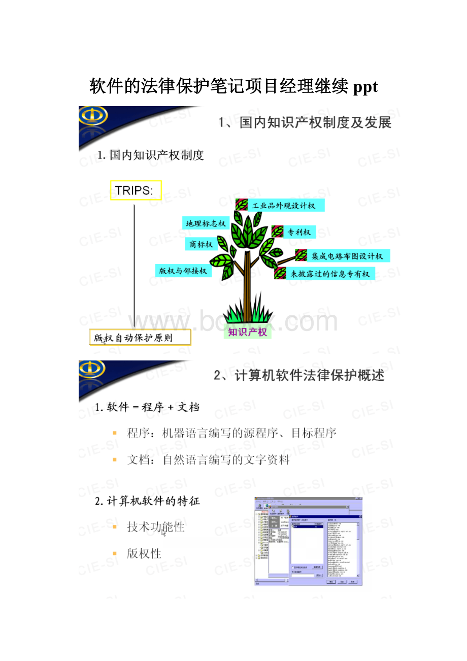 软件的法律保护笔记项目经理继续ppt.docx