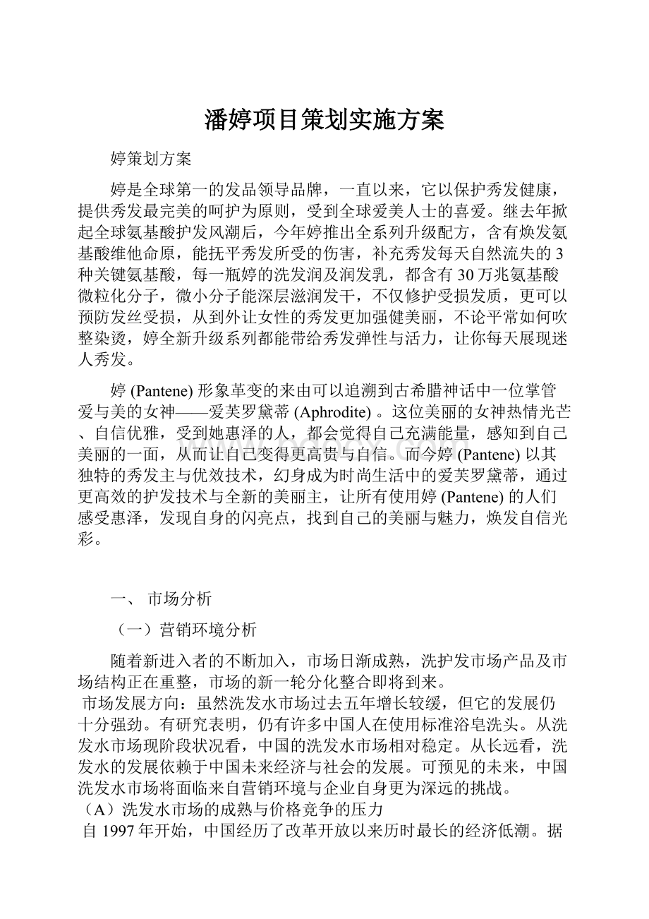 潘婷项目策划实施方案.docx