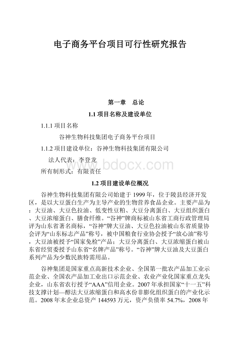 电子商务平台项目可行性研究报告.docx