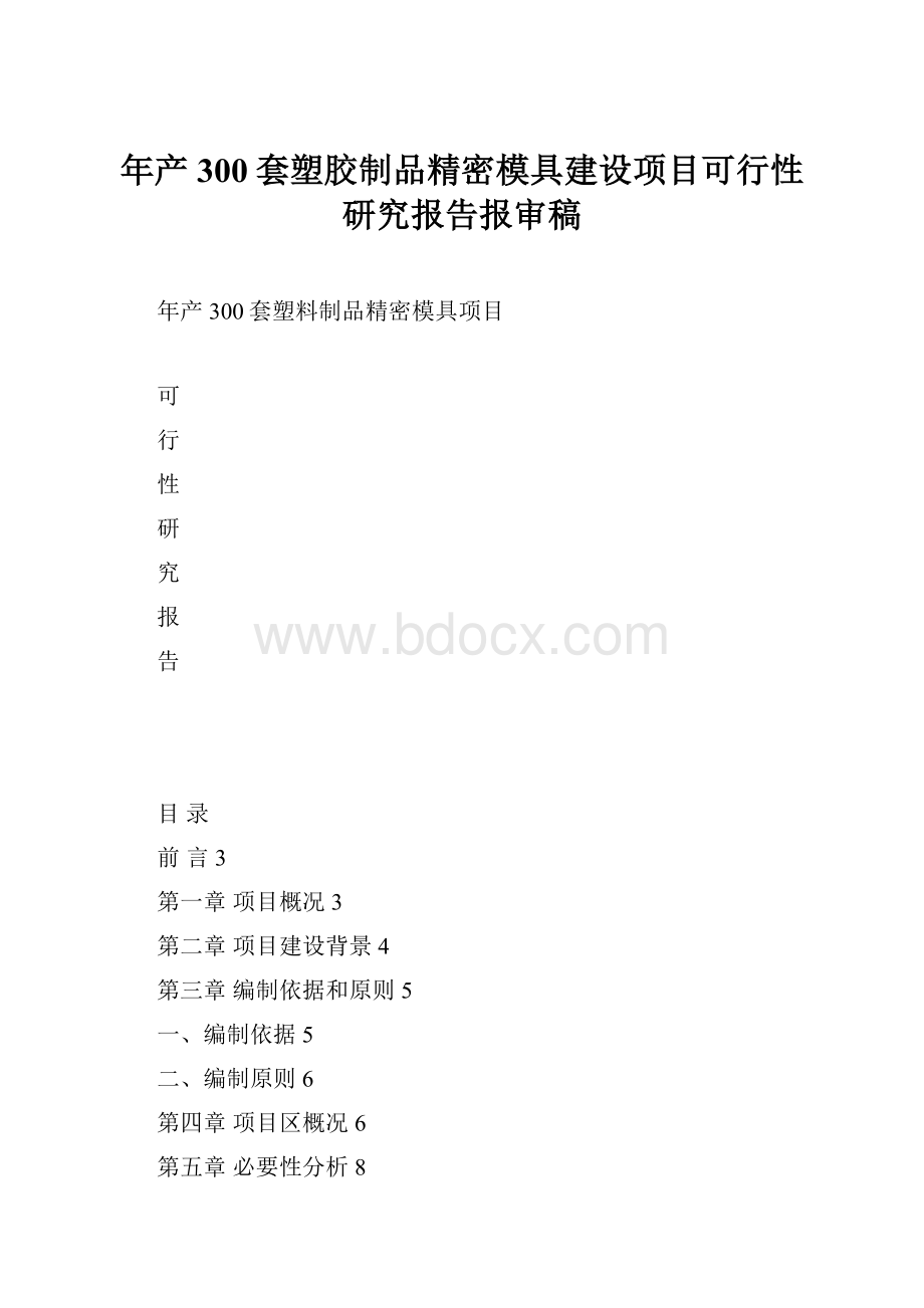 年产300套塑胶制品精密模具建设项目可行性研究报告报审稿.docx_第1页