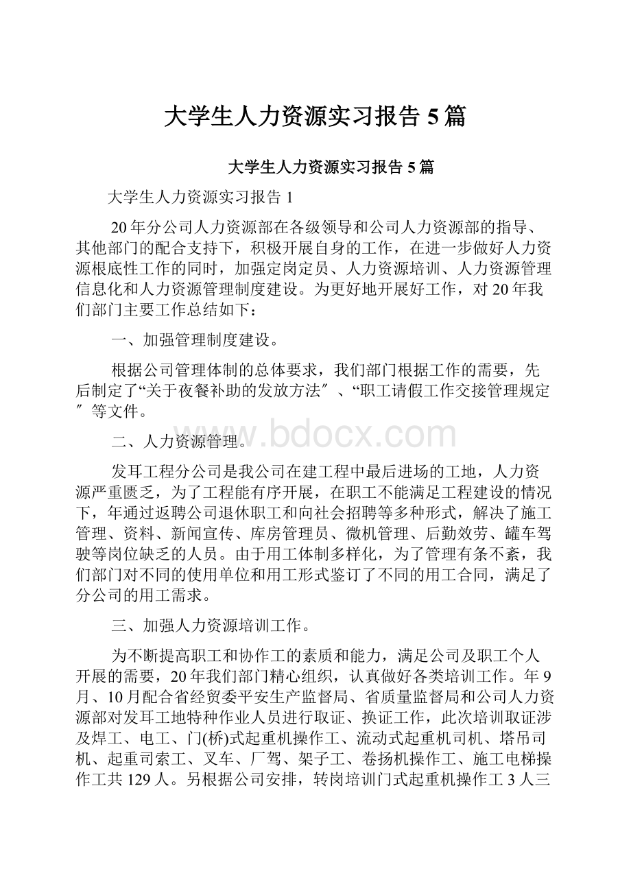 大学生人力资源实习报告5篇.docx