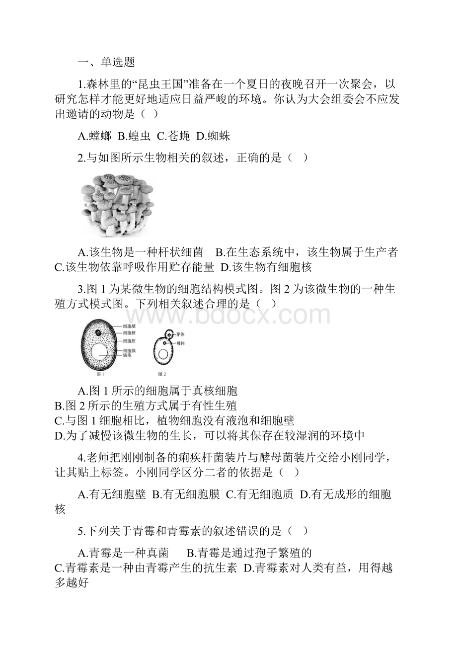 中考科学考前集训系列模块一生命科学 知识点+练习专题5生物的分类.docx_第2页