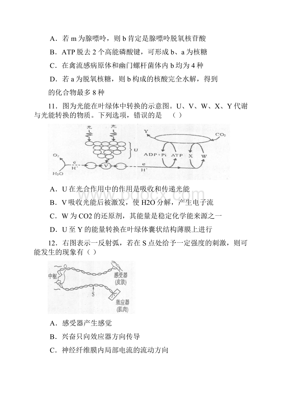 上海市十三校届高三联考生物.docx_第3页