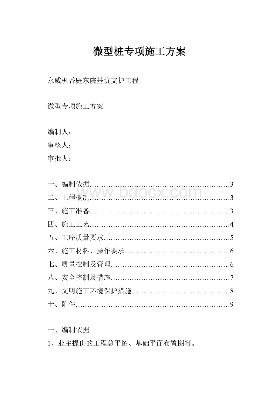 微型桩专项施工方案.docx