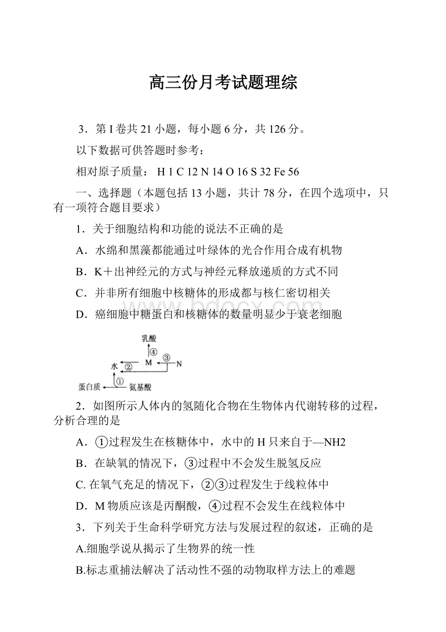 高三份月考试题理综.docx