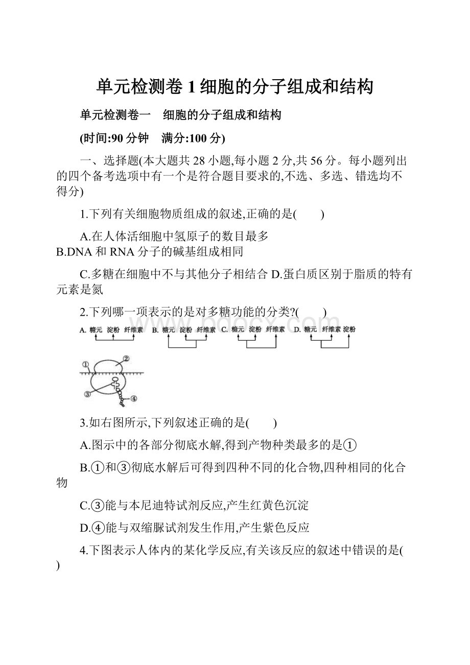 单元检测卷1细胞的分子组成和结构.docx