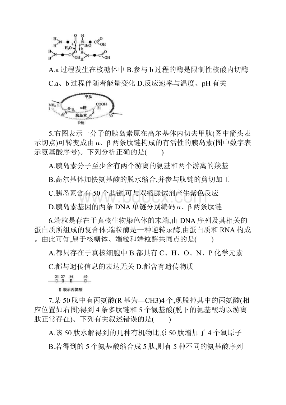 单元检测卷1细胞的分子组成和结构.docx_第2页