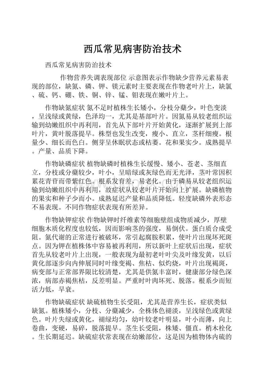 西瓜常见病害防治技术.docx