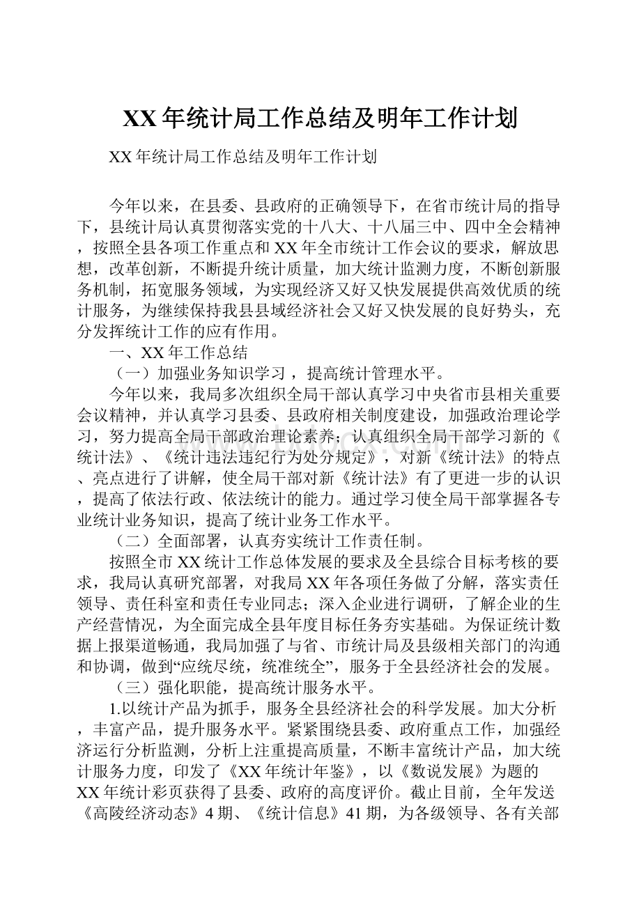 XX年统计局工作总结及明年工作计划.docx