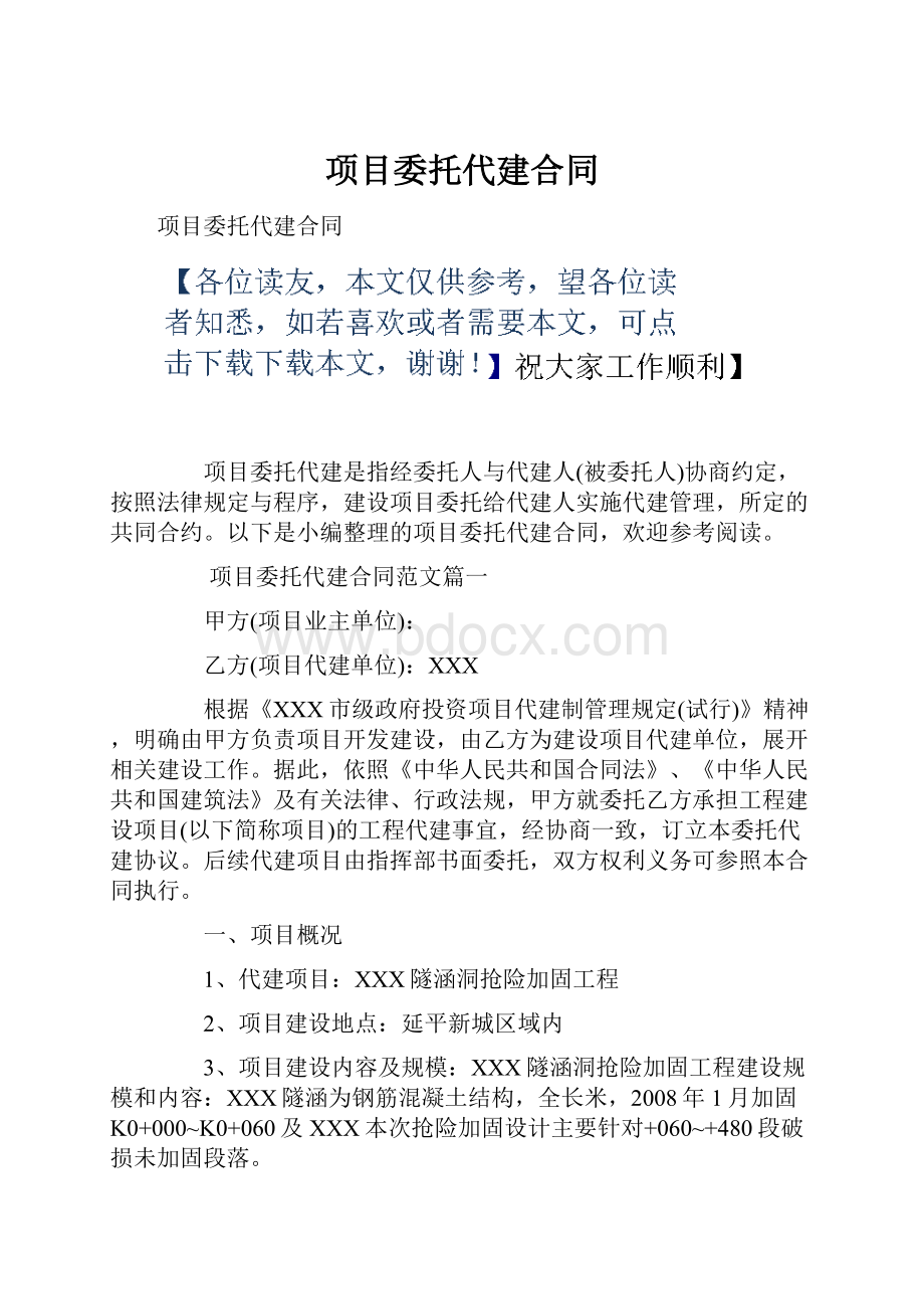 项目委托代建合同.docx