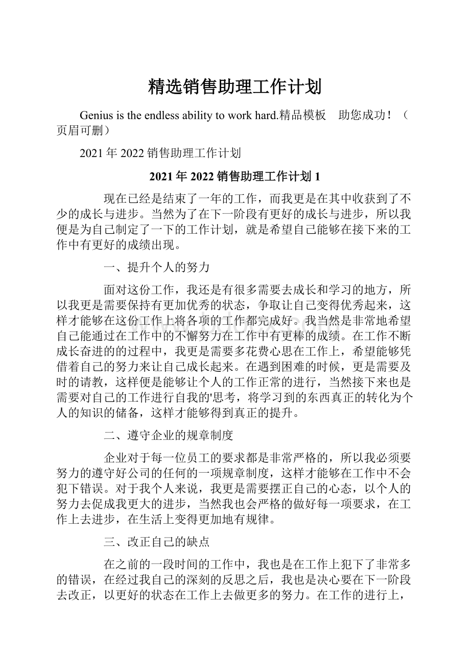 精选销售助理工作计划.docx