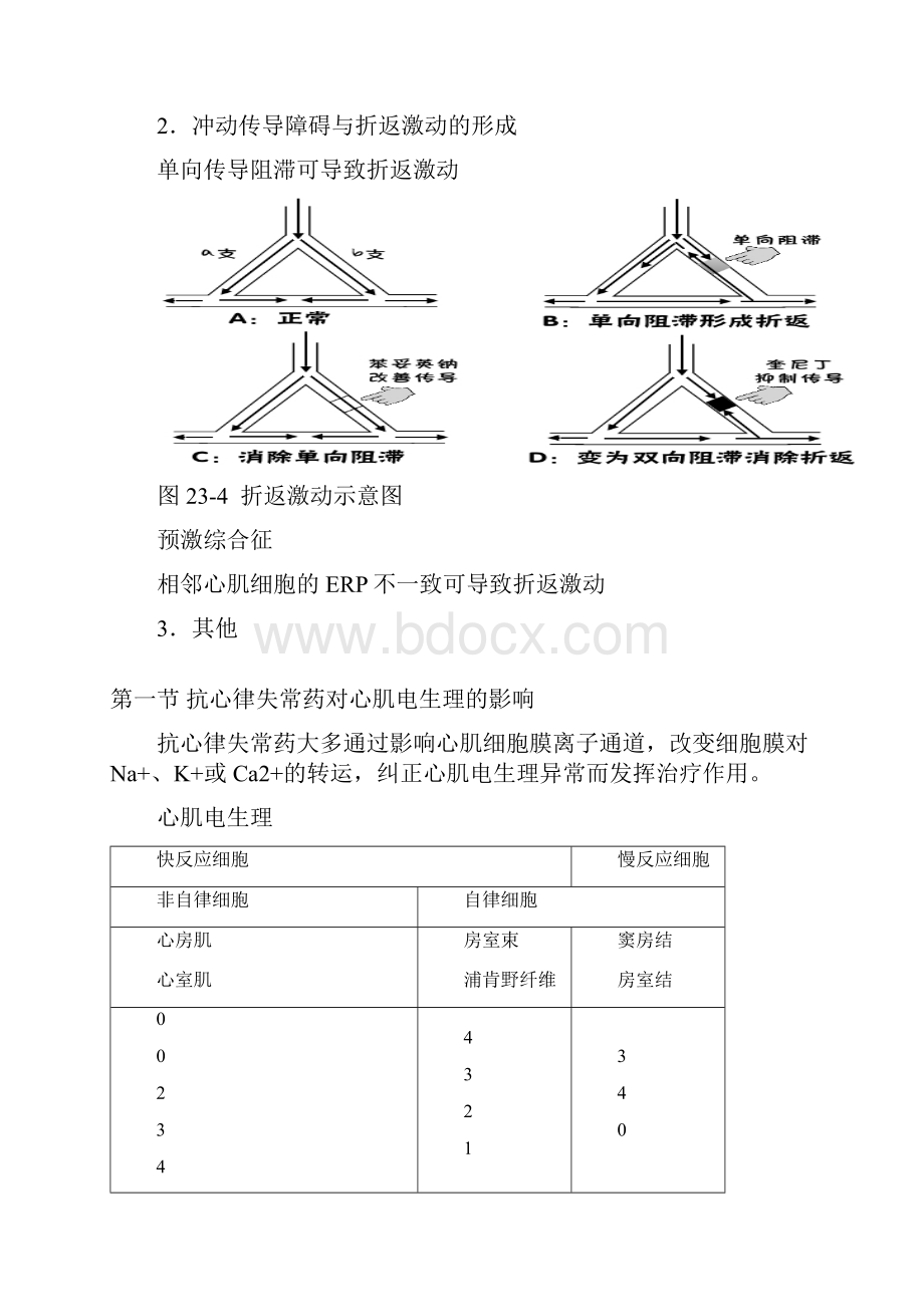 第二十三篇抗心律失常药.docx_第3页