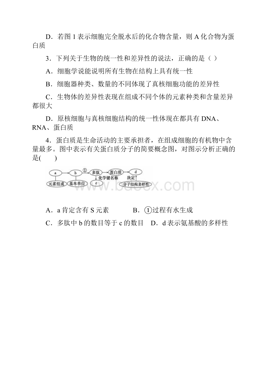 四川省石室中学学年高一生物上学期半期考试试题.docx_第2页