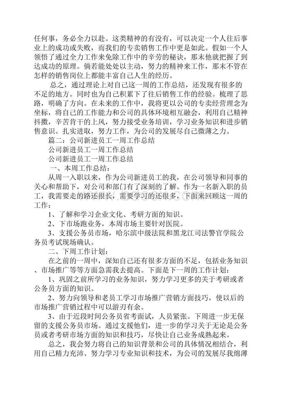 业务员一周工作总结.docx_第2页