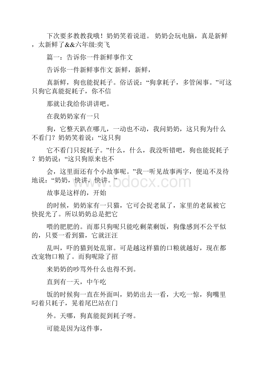 暑假里的新鲜事500字作文5篇.docx_第2页