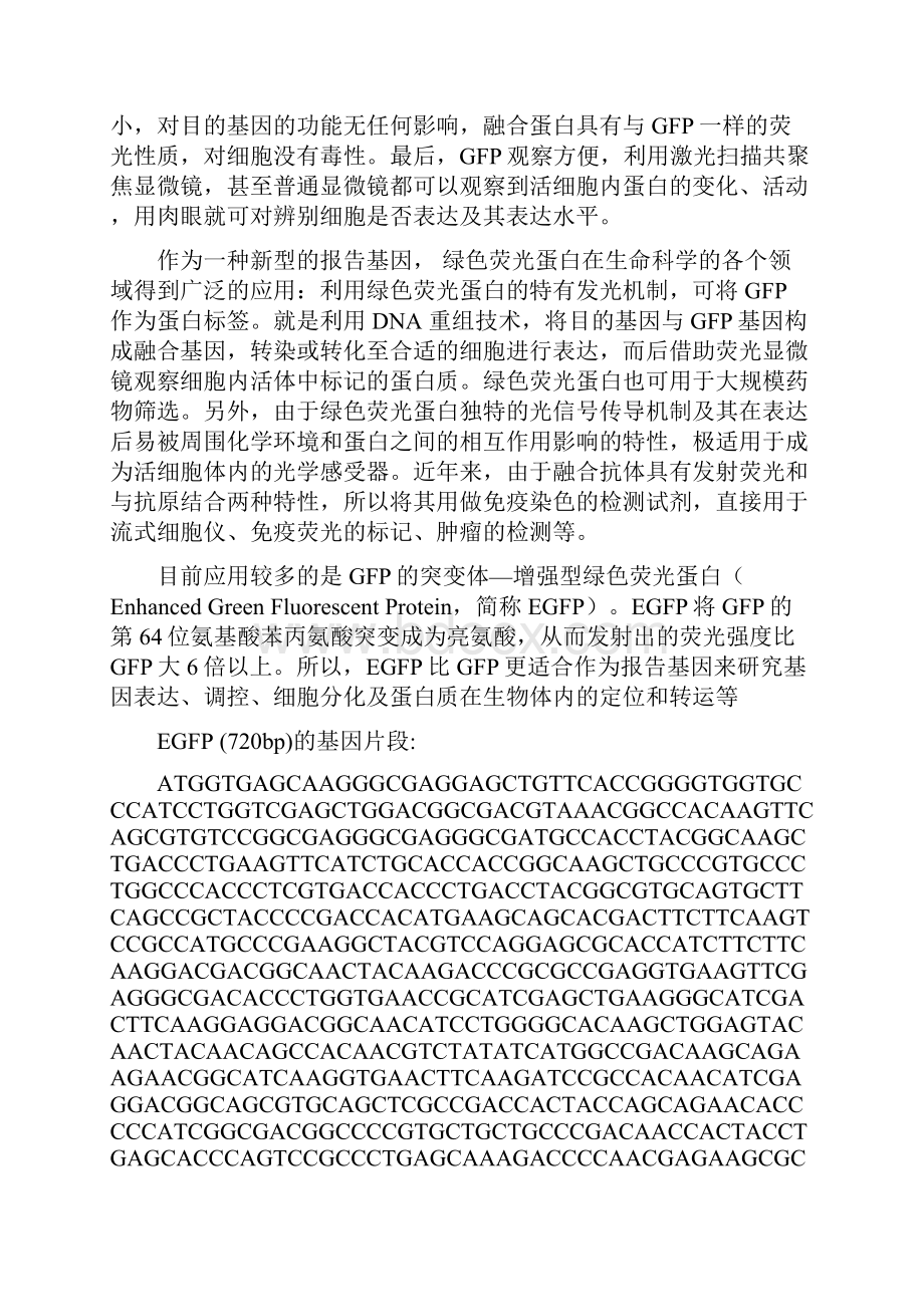 荧光蛋白基因在大肠杆菌中的表达与检测.docx_第2页