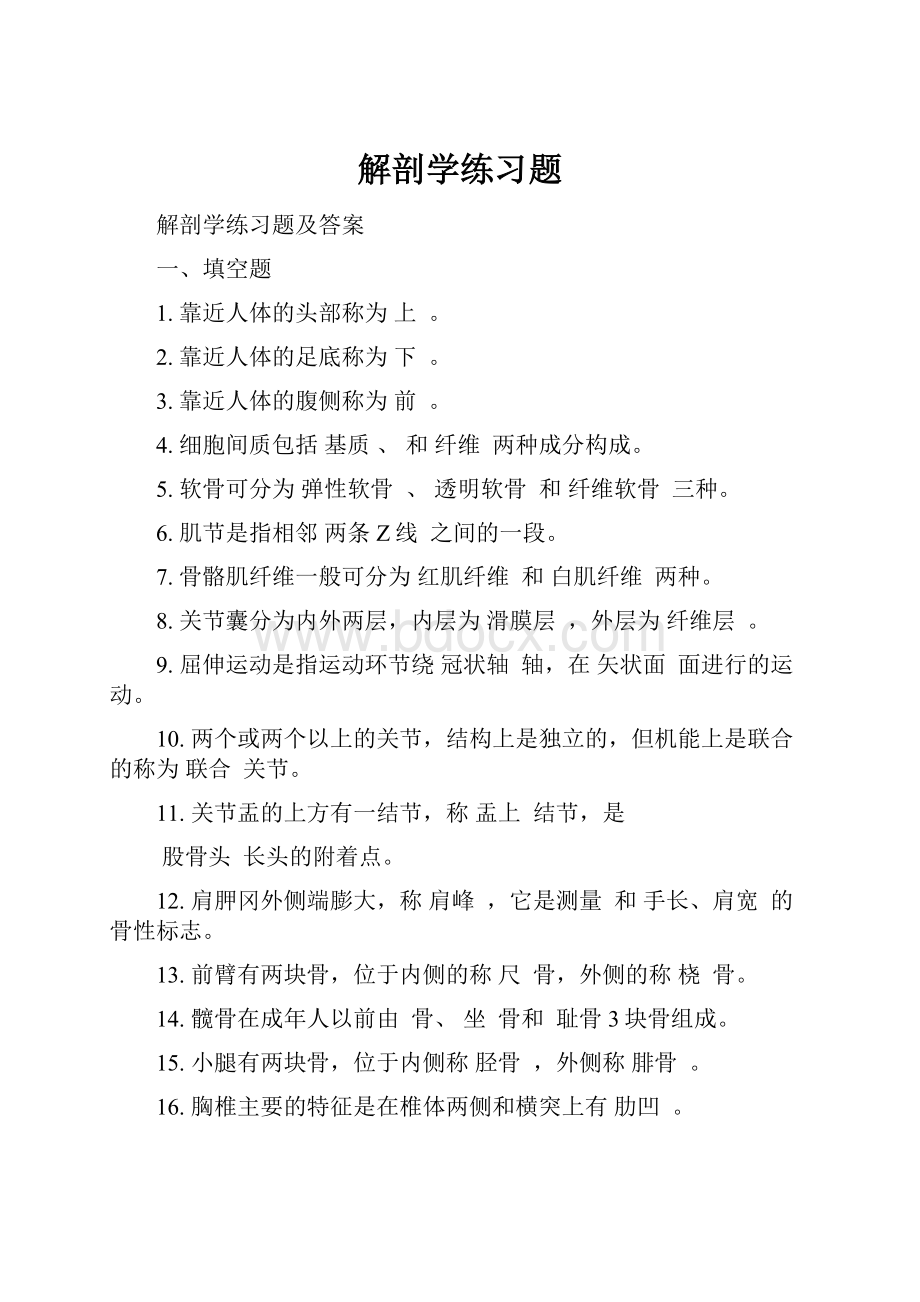 解剖学练习题.docx