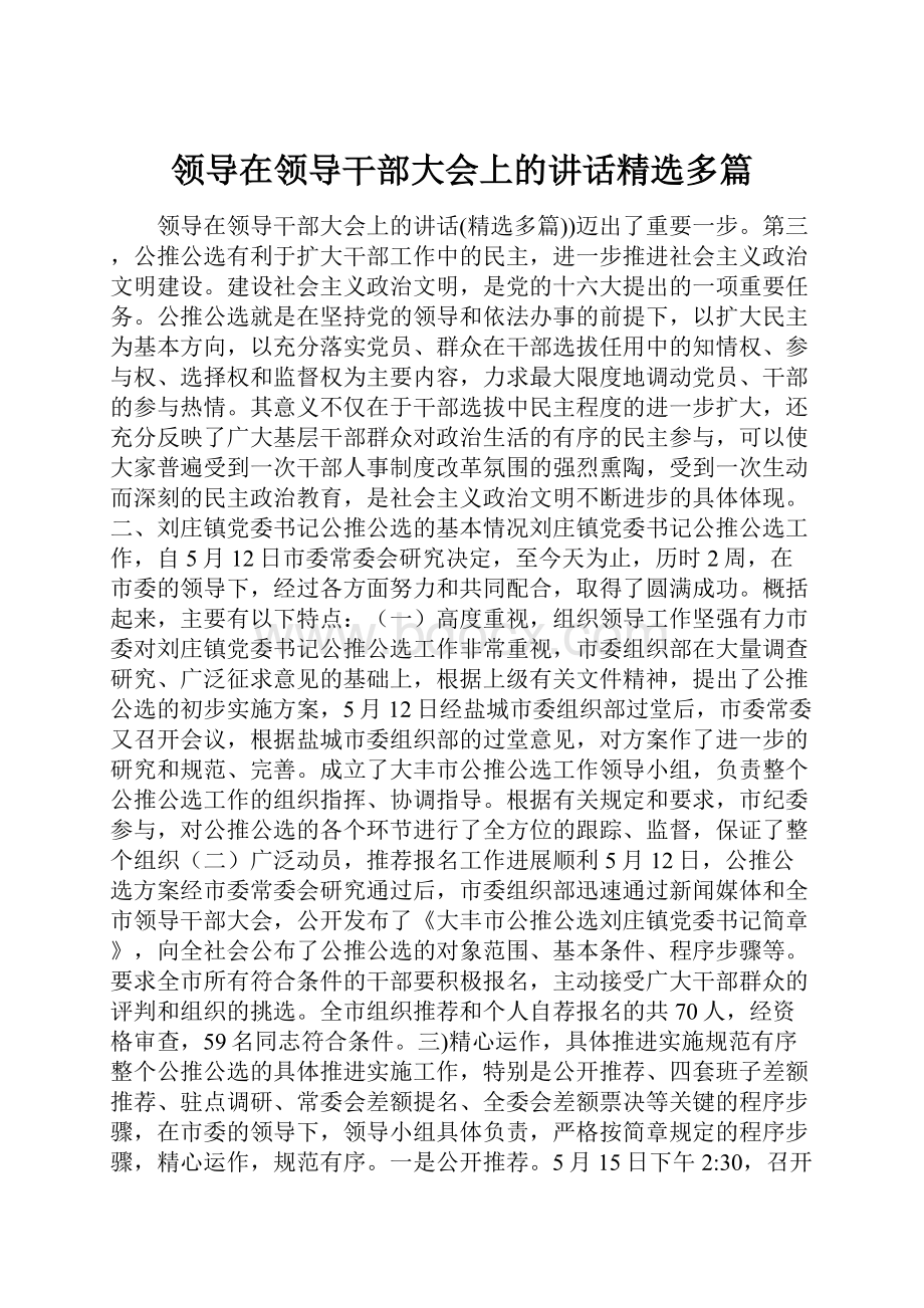 领导在领导干部大会上的讲话精选多篇.docx