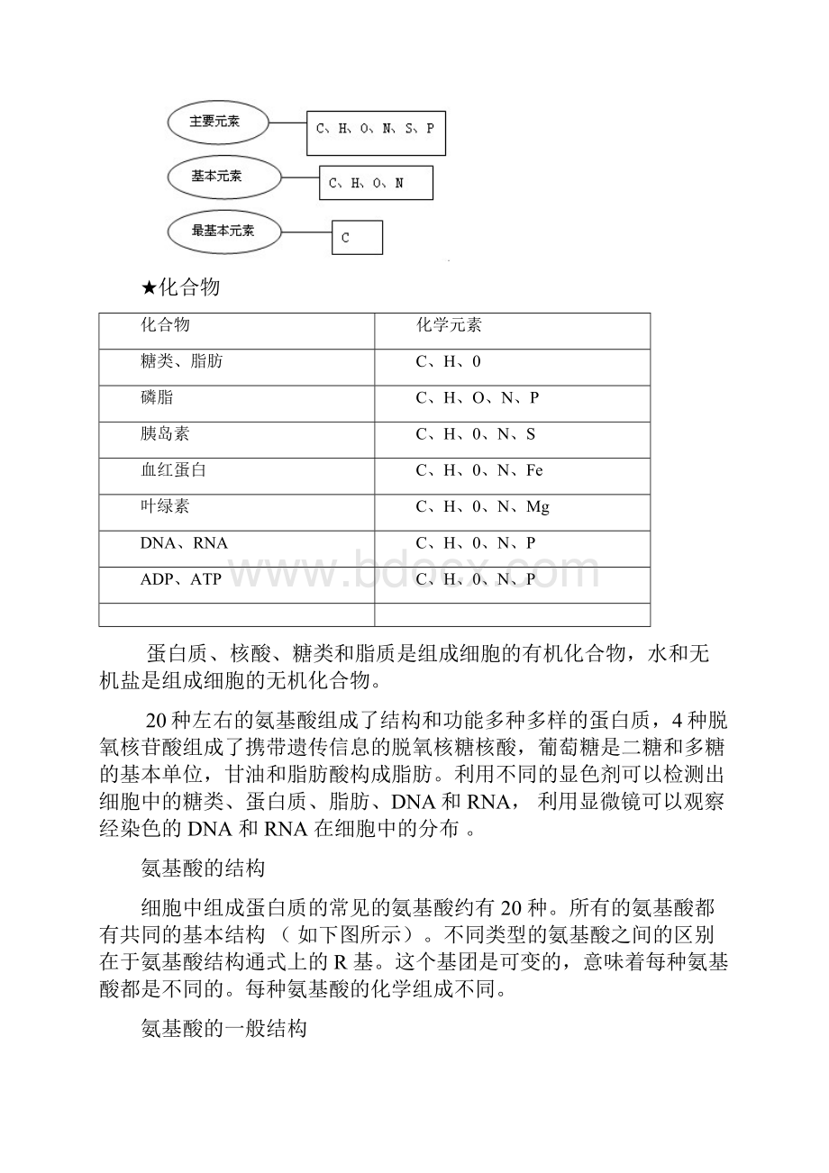 专题一 细胞的分子组成与结构 教案.docx_第2页