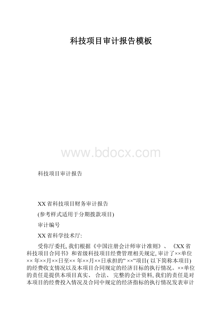 科技项目审计报告模板.docx