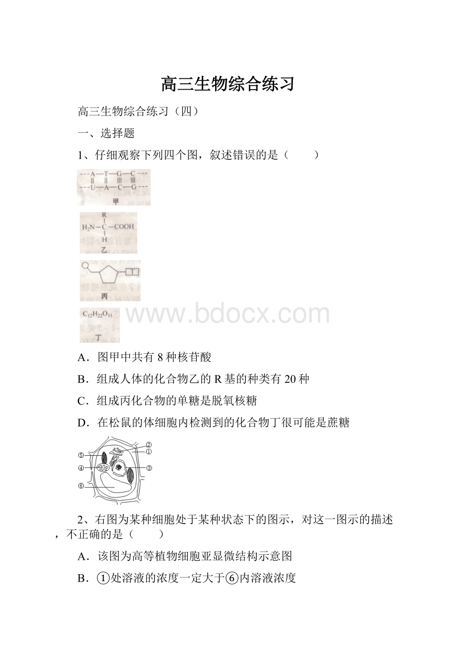 高三生物综合练习.docx_第1页