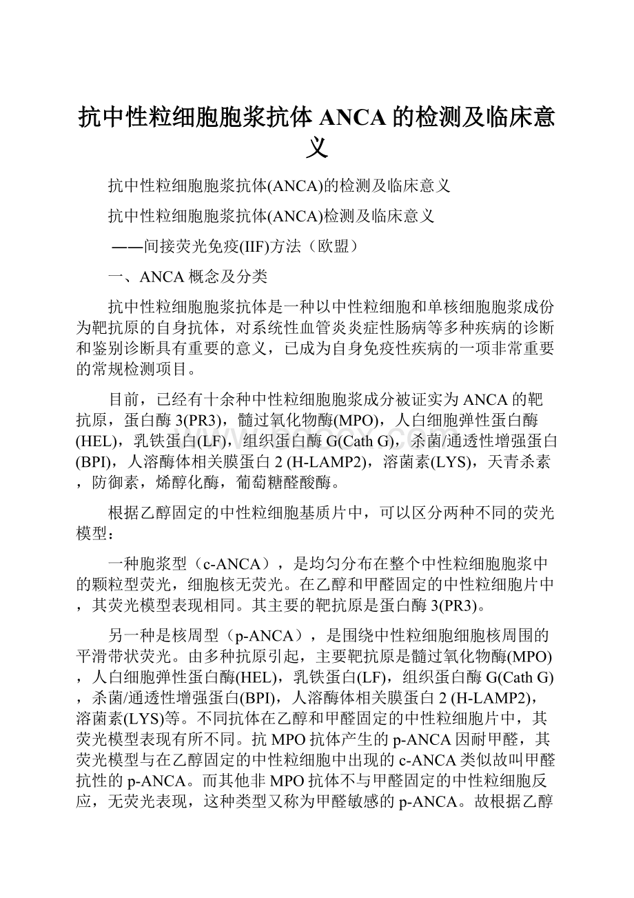 抗中性粒细胞胞浆抗体ANCA的检测及临床意义.docx