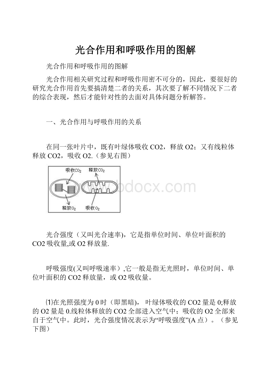 光合作用和呼吸作用的图解.docx