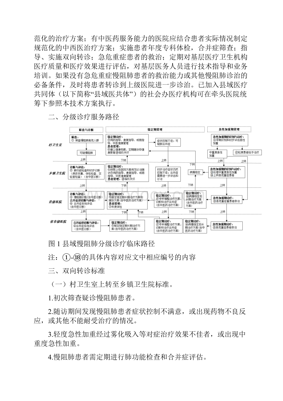 县域慢性阻塞性肺疾病分级诊疗技术方案.docx_第2页