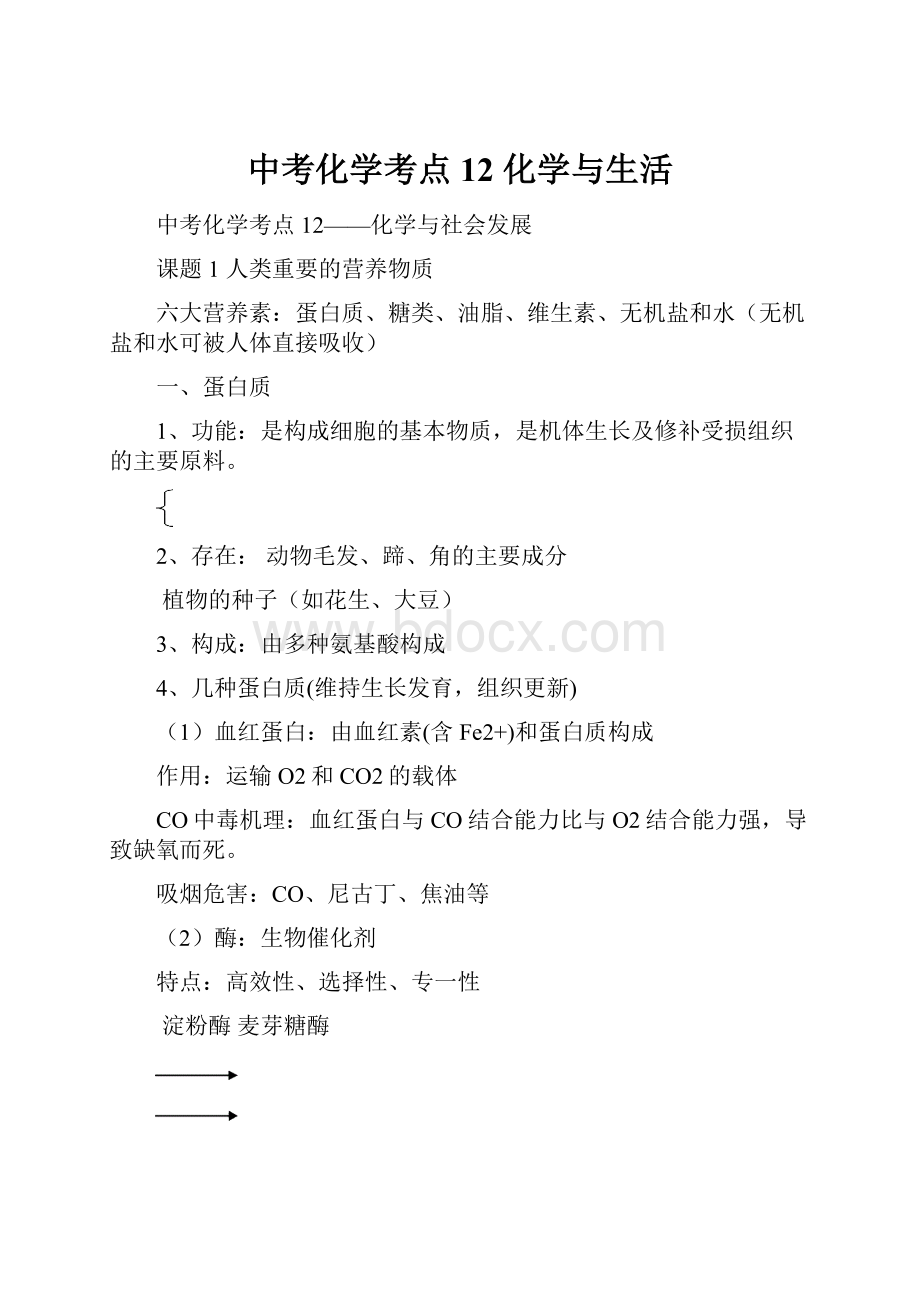 中考化学考点12化学与生活.docx