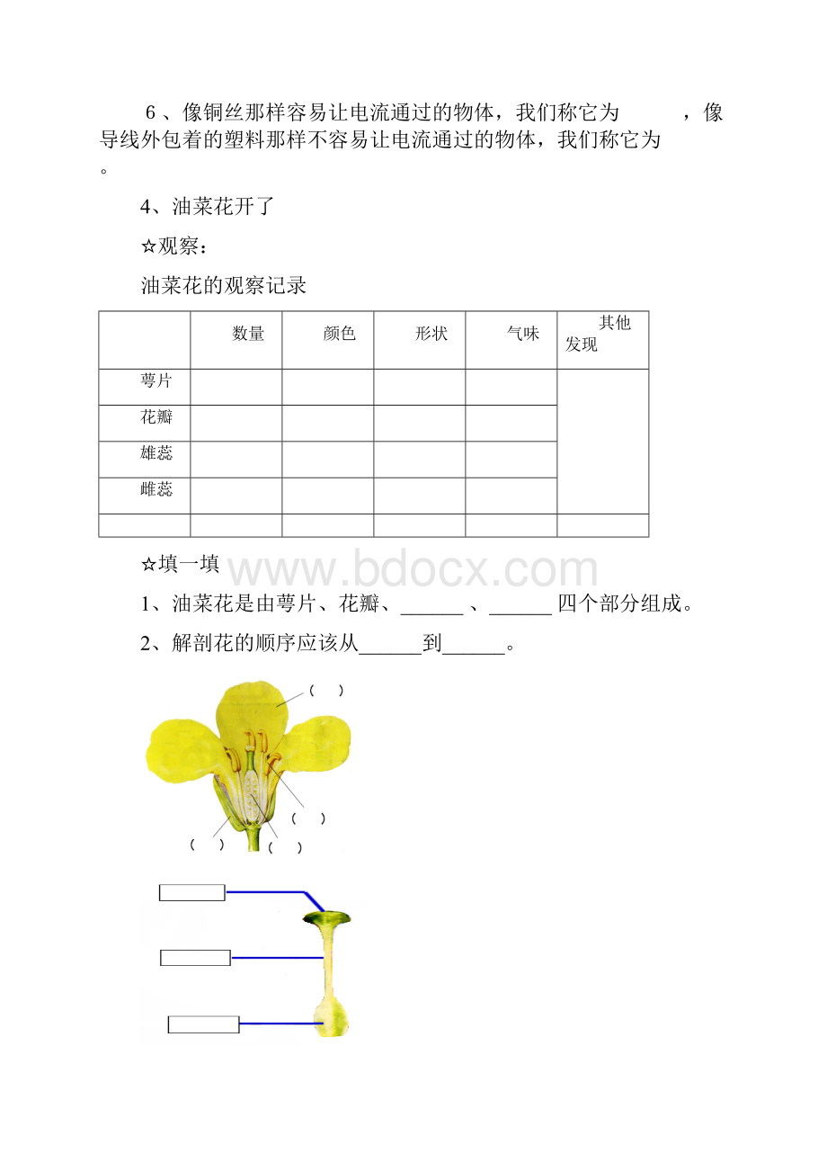 教科版四年级科学下册实验报告单.docx_第3页