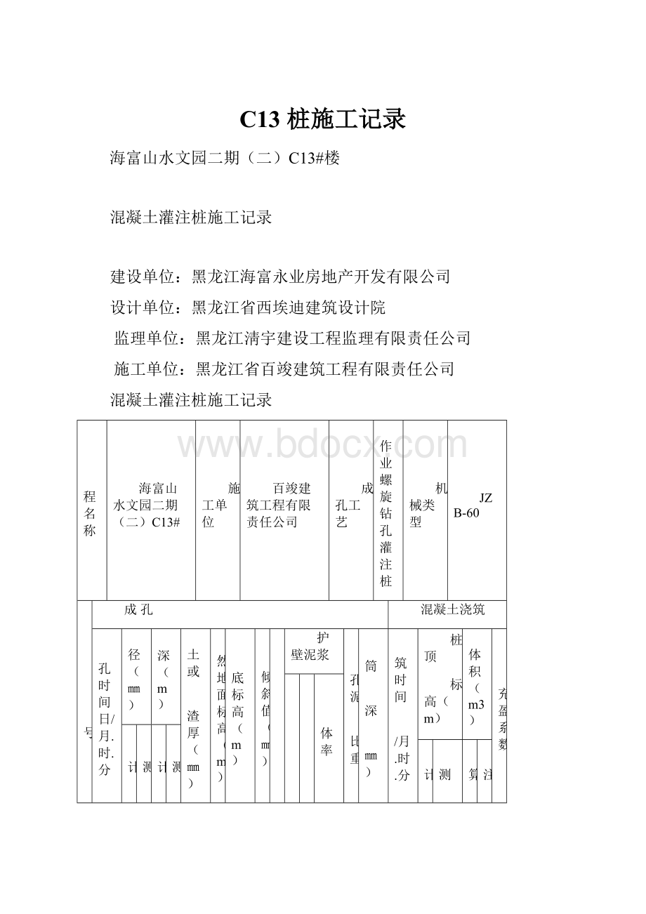 C13 桩施工记录.docx