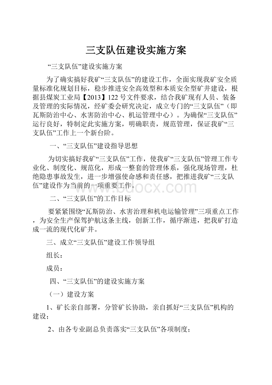 三支队伍建设实施方案.docx_第1页