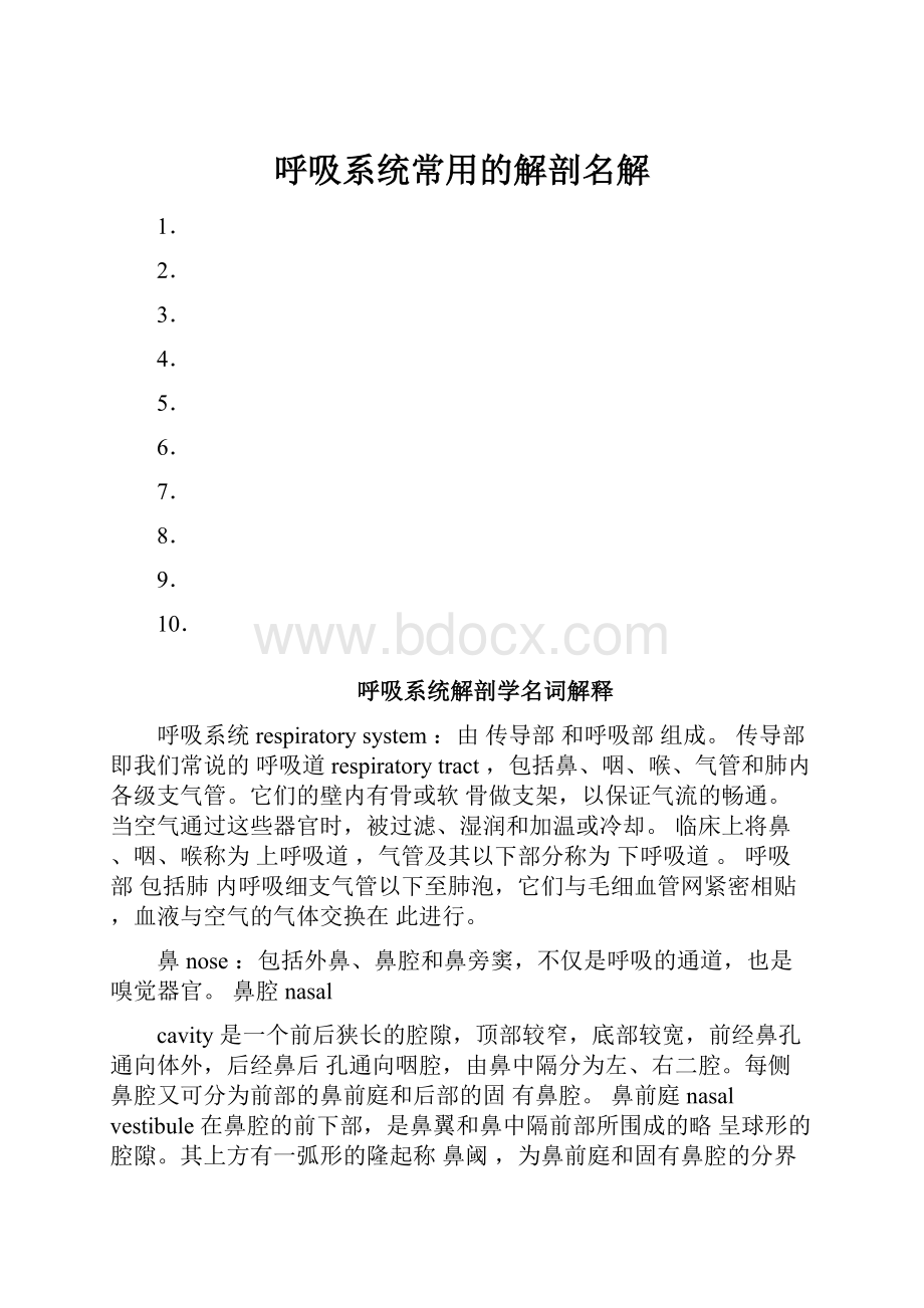 呼吸系统常用的解剖名解.docx