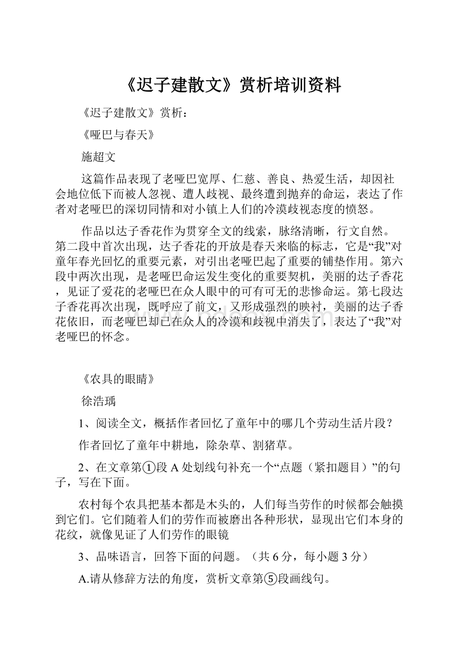 《迟子建散文》赏析培训资料.docx