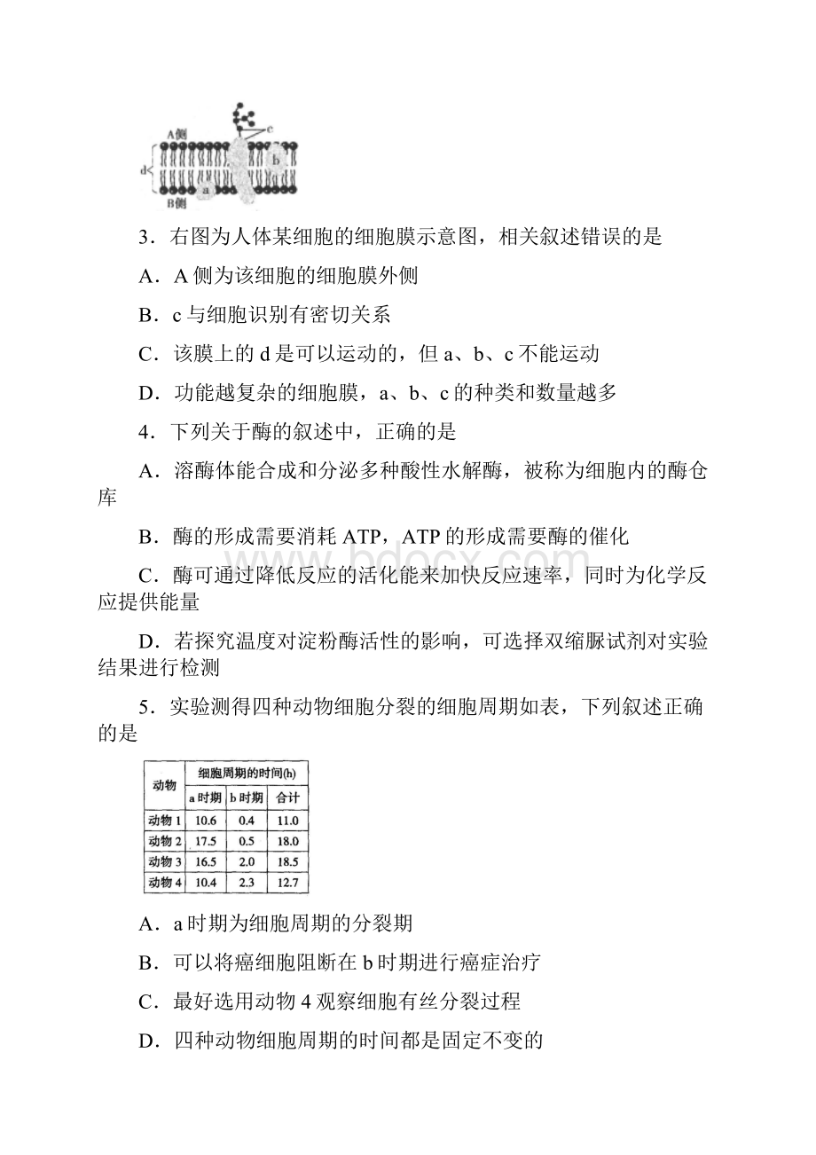 山东省生物竞赛预赛试题含答案word版.docx_第2页