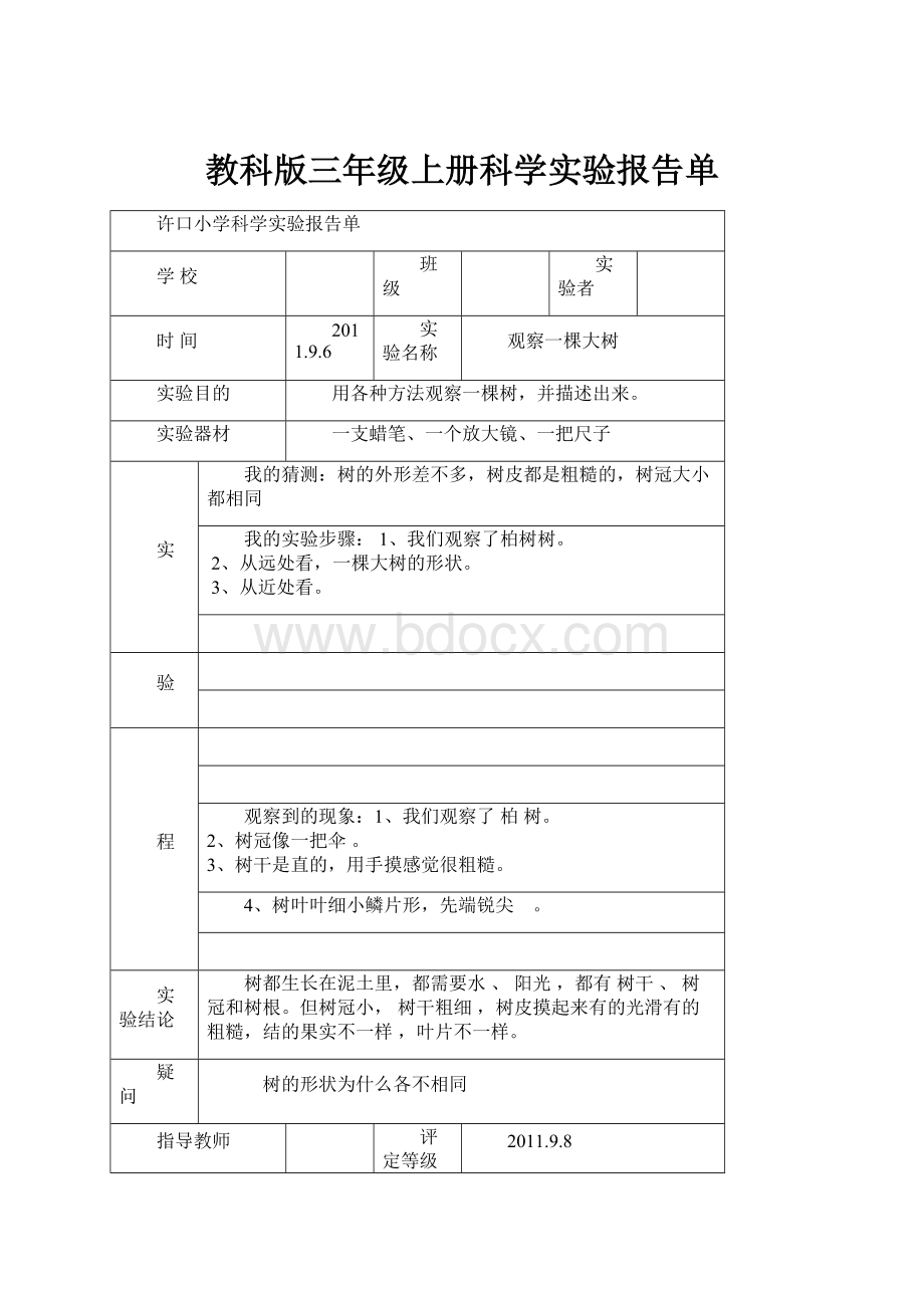 教科版三年级上册科学实验报告单.docx