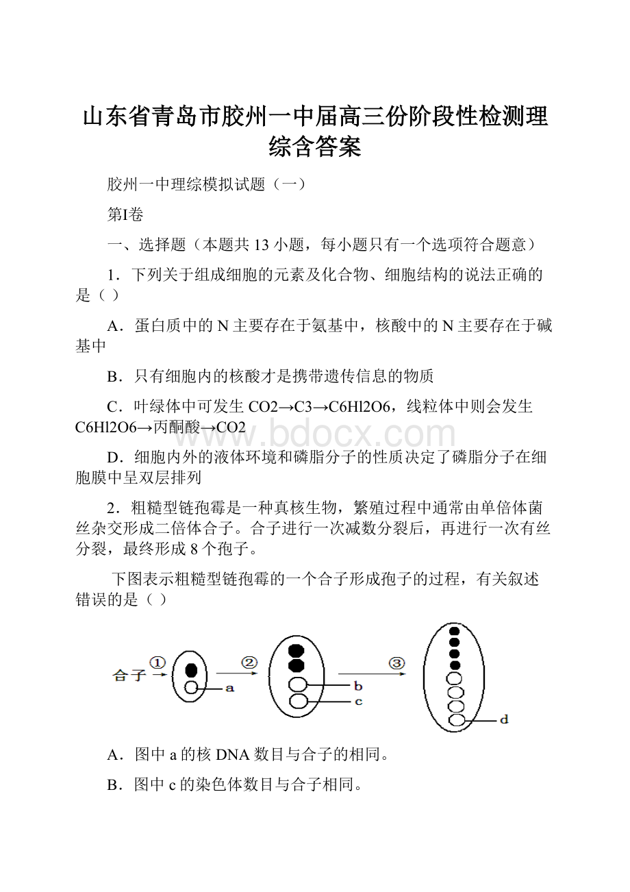 山东省青岛市胶州一中届高三份阶段性检测理综含答案.docx