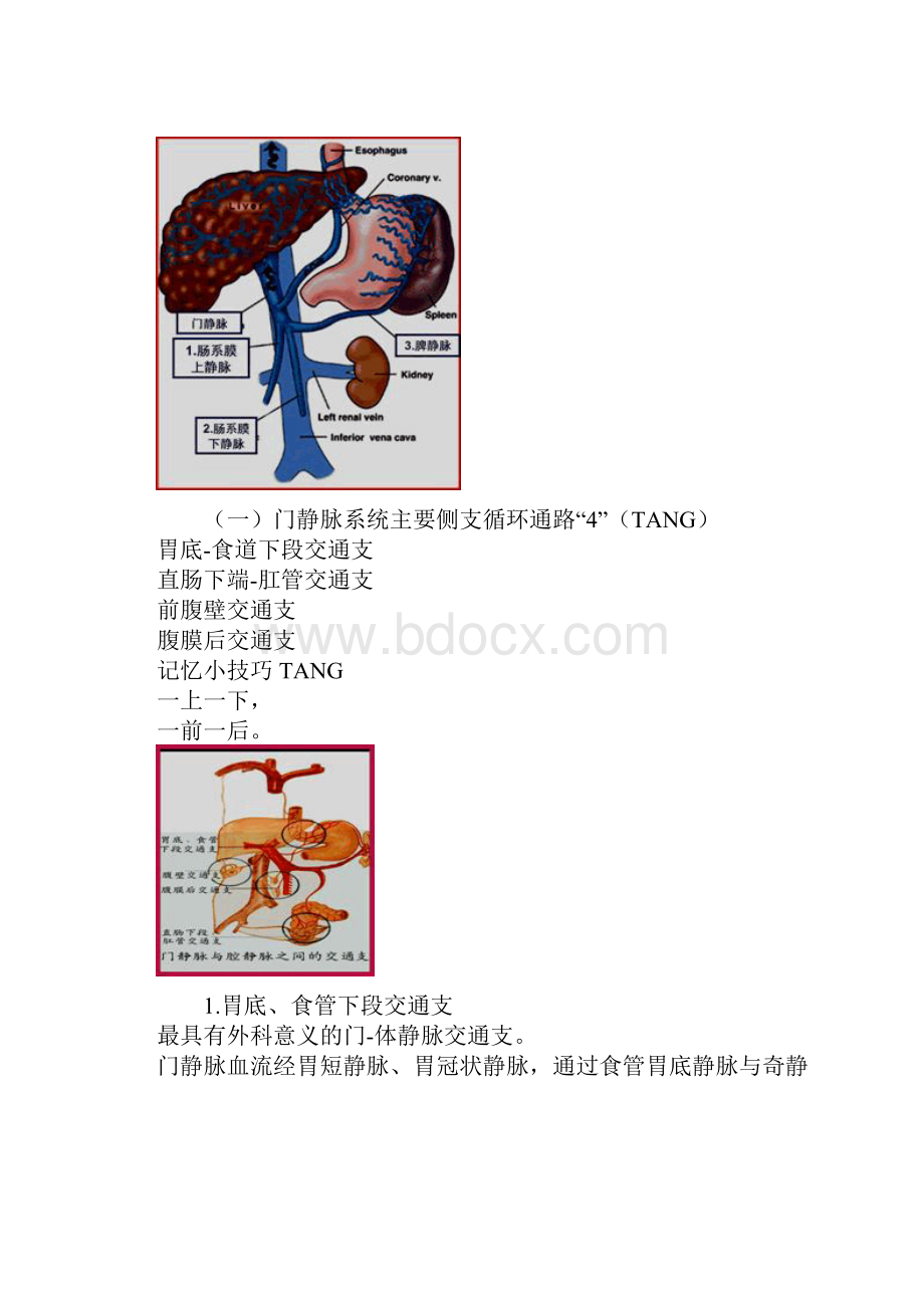 门静脉高压症.docx_第3页