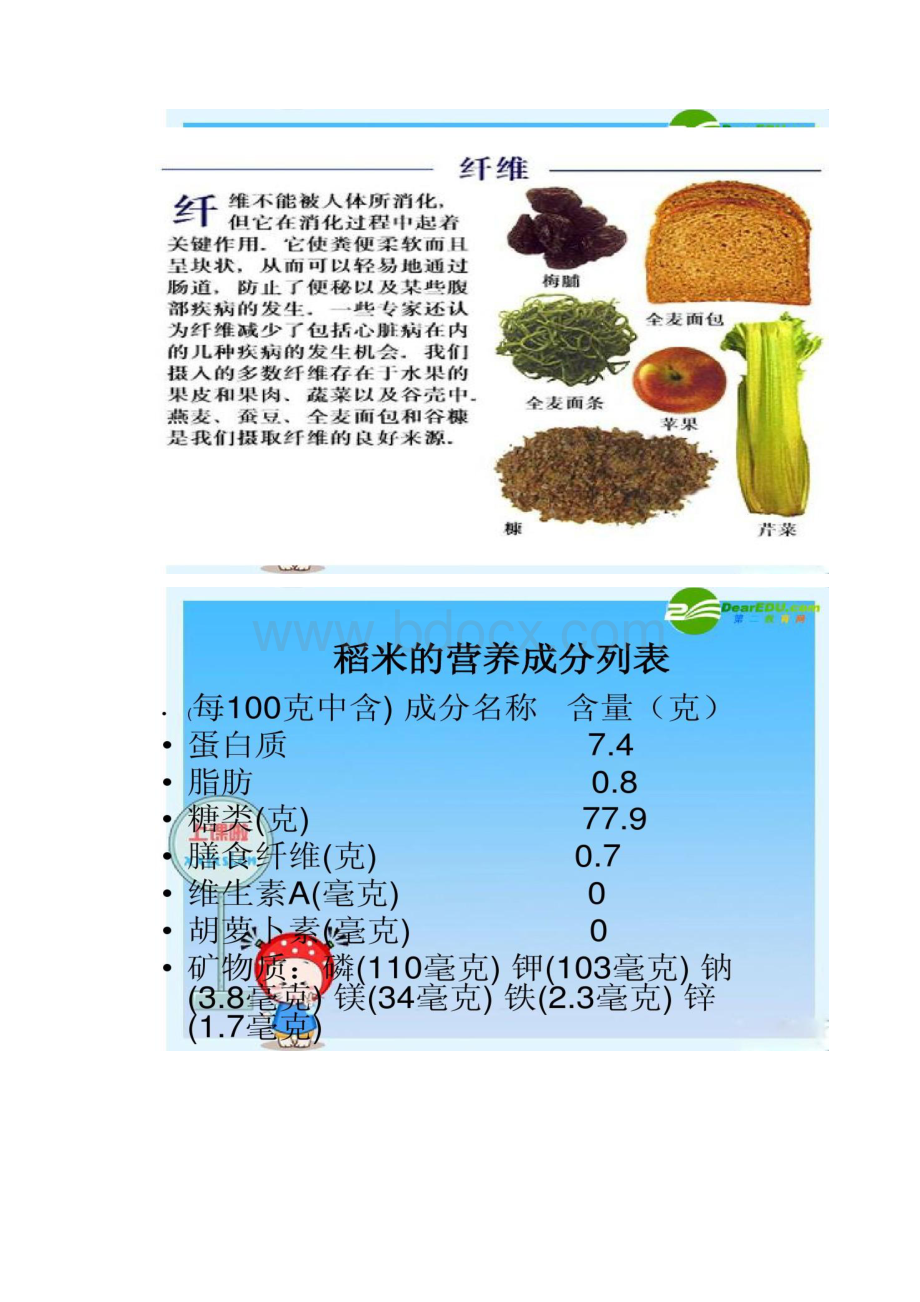 四年级科学上册食物中的营养课件教科版精.docx_第3页