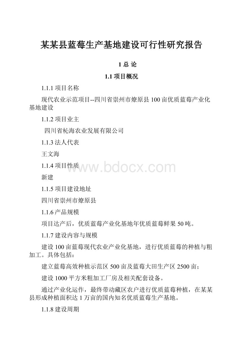 某某县蓝莓生产基地建设可行性研究报告.docx