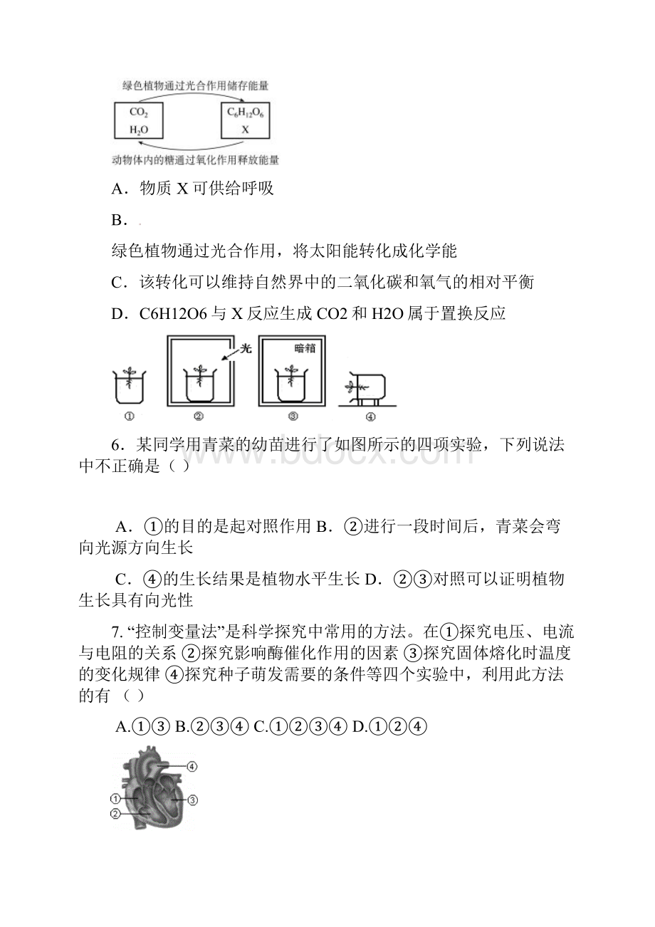 九年级科学下学期开学考试试题.docx_第3页