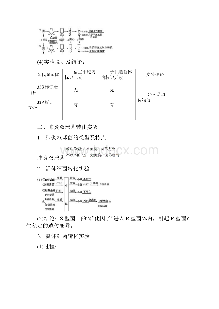 高中生物第三章第一节核酸是遗传物质的证据课时作业浙科版必修2.docx_第2页