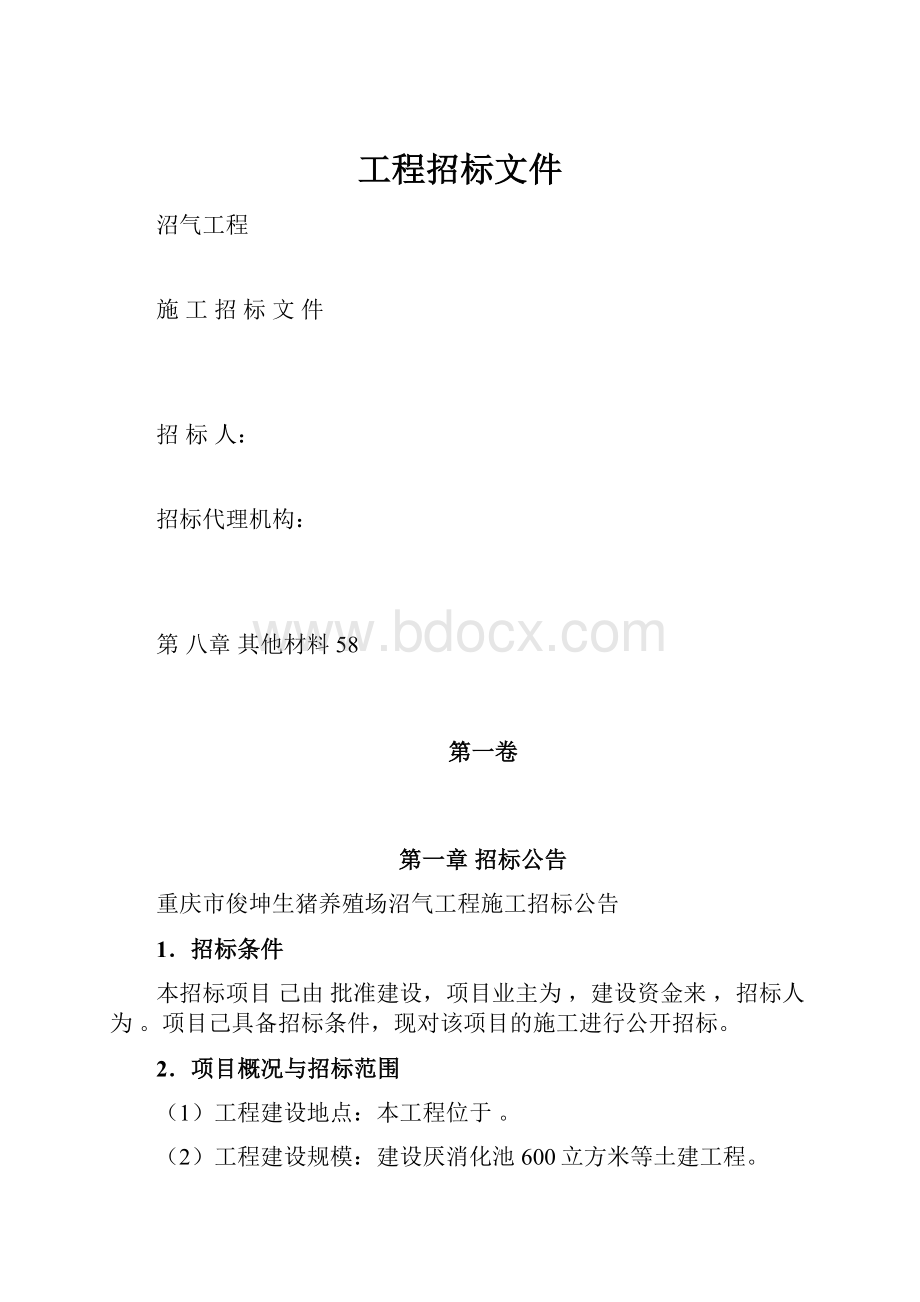 工程招标文件.docx